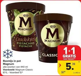 Roomijs in pot Magnum