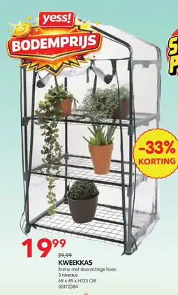 Yess Kweekkas aanbieding