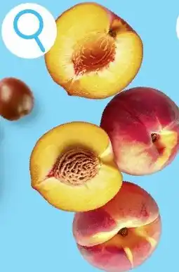 ALDI Perziken aanbieding