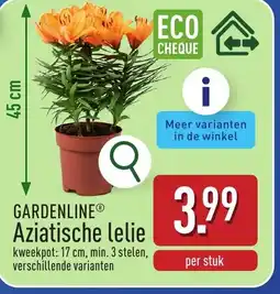 ALDI Gardenline® aziatische lelie aanbieding