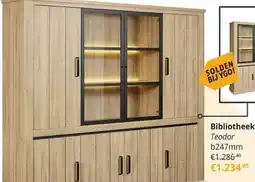 YGO Bibliotheek Teodor aanbieding
