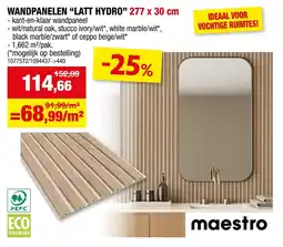 Hubo Wandpanelen Latt Hydro aanbieding