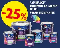 Hubo Ambiance muurverf en lakken aanbieding