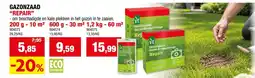 Hubo Gazonzaad Repair aanbieding