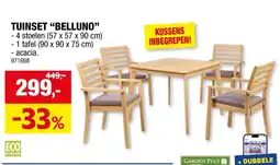 Hubo Tuinset belluno aanbieding