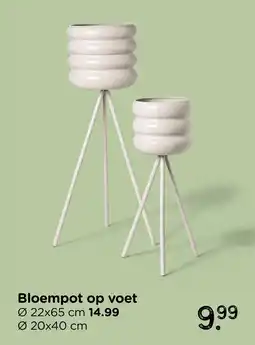 Xenos Bloempot op voet aanbieding