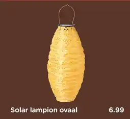Xenos Solar lampion ovaal aanbieding
