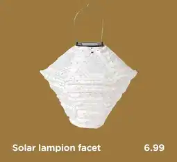 Xenos Solar lampion facet aanbieding
