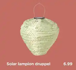 Xenos Solar lampion druppel aanbieding