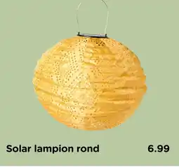 Xenos Solar lampion rond aanbieding
