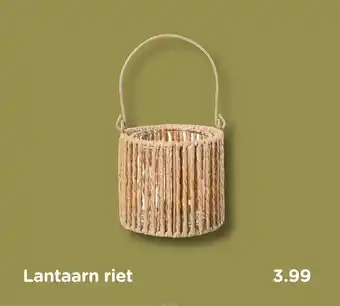 Xenos Lantaarn riet aanbieding