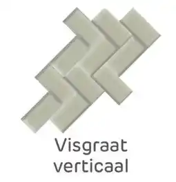 Brico Visgraat verticaal aanbieding