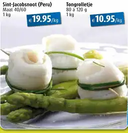 Aronde Sint-Jacobsnoot aanbieding