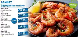 Aronde Gamba's aanbieding