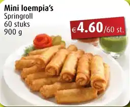 Aronde Mini loempia's springroll aanbieding