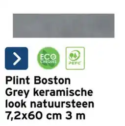 GAMMA Plint Boston aanbieding