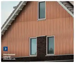 GAMMA Gevelpaneel Naturel aanbieding