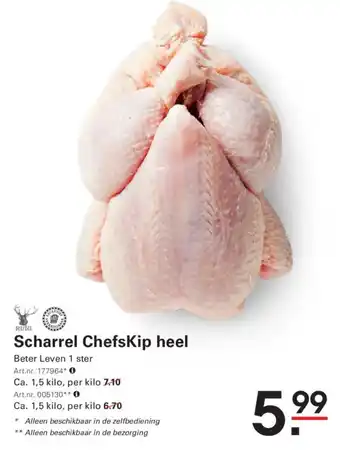 Scharrel ChefsKip heel
