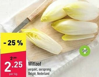 ALDI Witloof aanbieding