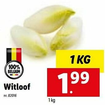 Lidl Witloof aanbieding