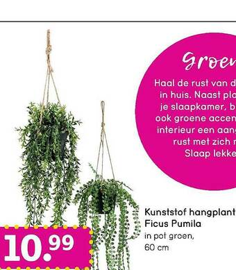 Leen Bakker Kunststof Hangplant Ficus Pumila aanbieding