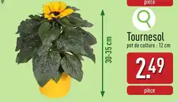 ALDI Tournesol aanbieding
