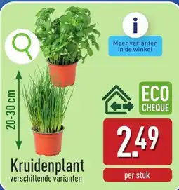 ALDI Kruidenplant aanbieding