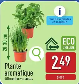 ALDI Plante aromatique aanbieding
