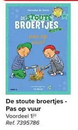 Carrefour De stoute broertjes - Pas op vuur aanbieding