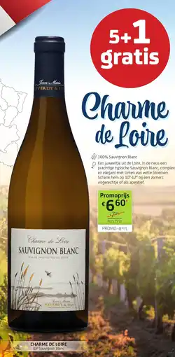 BelBev Charme de Loire IGP Sauvigon Blanc aanbieding