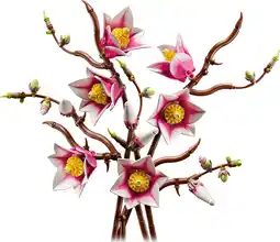 Coolblue LEGO Botanicals Magnoliatakken 11510 aanbieding