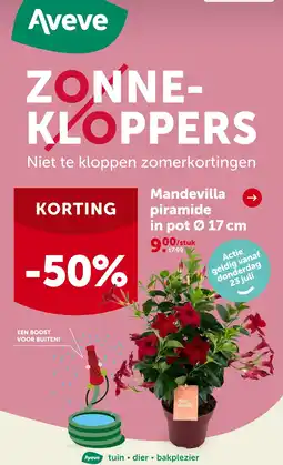 AVEVE Mandevilla piramide aanbieding