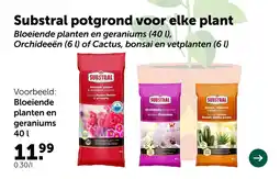 AVEVE Substral potgrond voor elke plant aanbieding