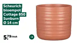 AVEVE Scheurich bloempot cottage 850 aanbieding