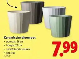 Lidl Keramische bloempot aanbieding