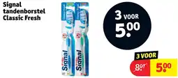 Kruidvat Signal tandenborstel Classic Fresh aanbieding