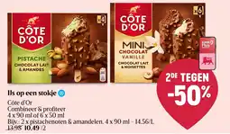 Delhaize IJs op een stokje aanbieding