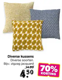 Xenos Diverse kussens aanbieding
