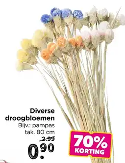 Xenos Diverse droogbloemen aanbieding