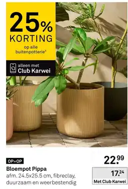 Karwei Bloempot Pippa aanbieding