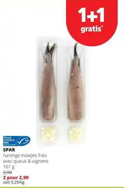 Spar harengs maatjes frais aanbieding