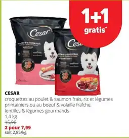Spar Cesar aanbieding
