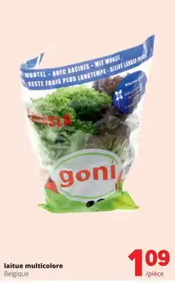 Spar laitue multicolore aanbieding