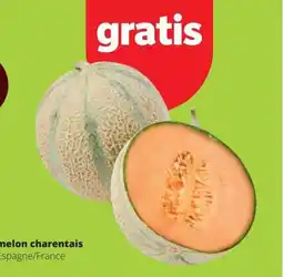 Spar Melon charentais aanbieding