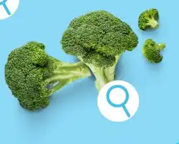 ALDI Broccoli aanbieding