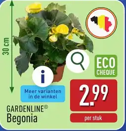 ALDI Gardenline begonia aanbieding