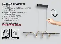 Zelfbouwmarkt Hanglamp zwart/goud aanbieding