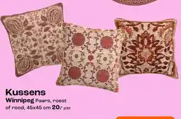 Kwantum Kussens Winnipeg aanbieding