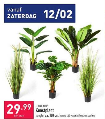 ALDI Kunstplant aanbieding
