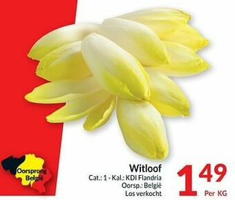 Intermarché Witloof aanbieding